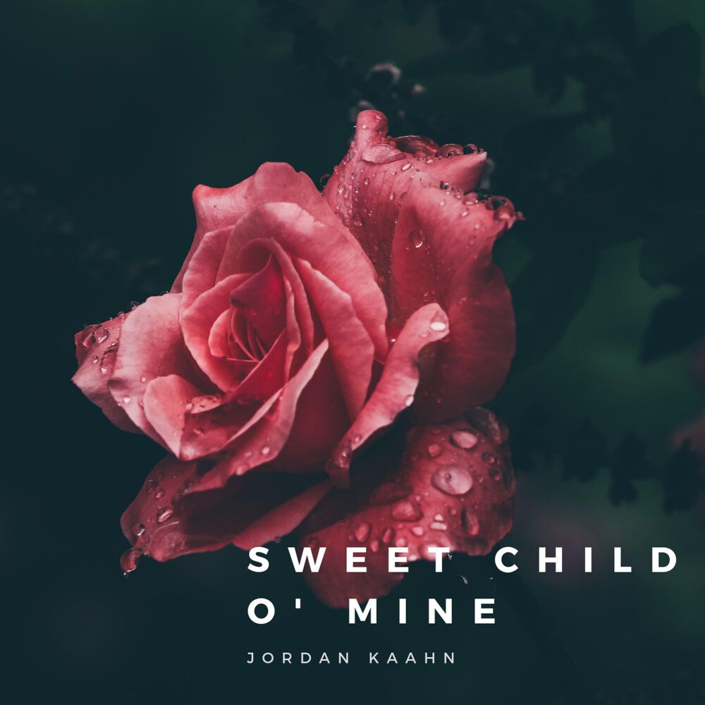 Picture of Sweet Child O' Mine