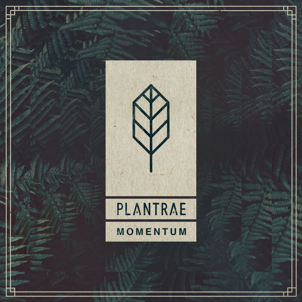 Picture of Momentum