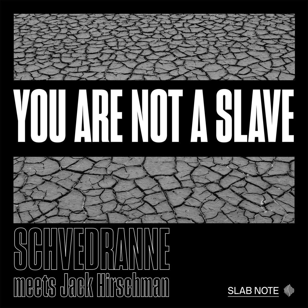 Album cover of You Are Not A Slave