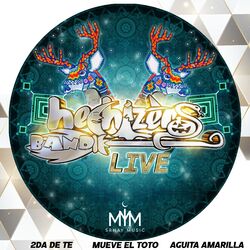 Cover of Hechizeros Band (Live)