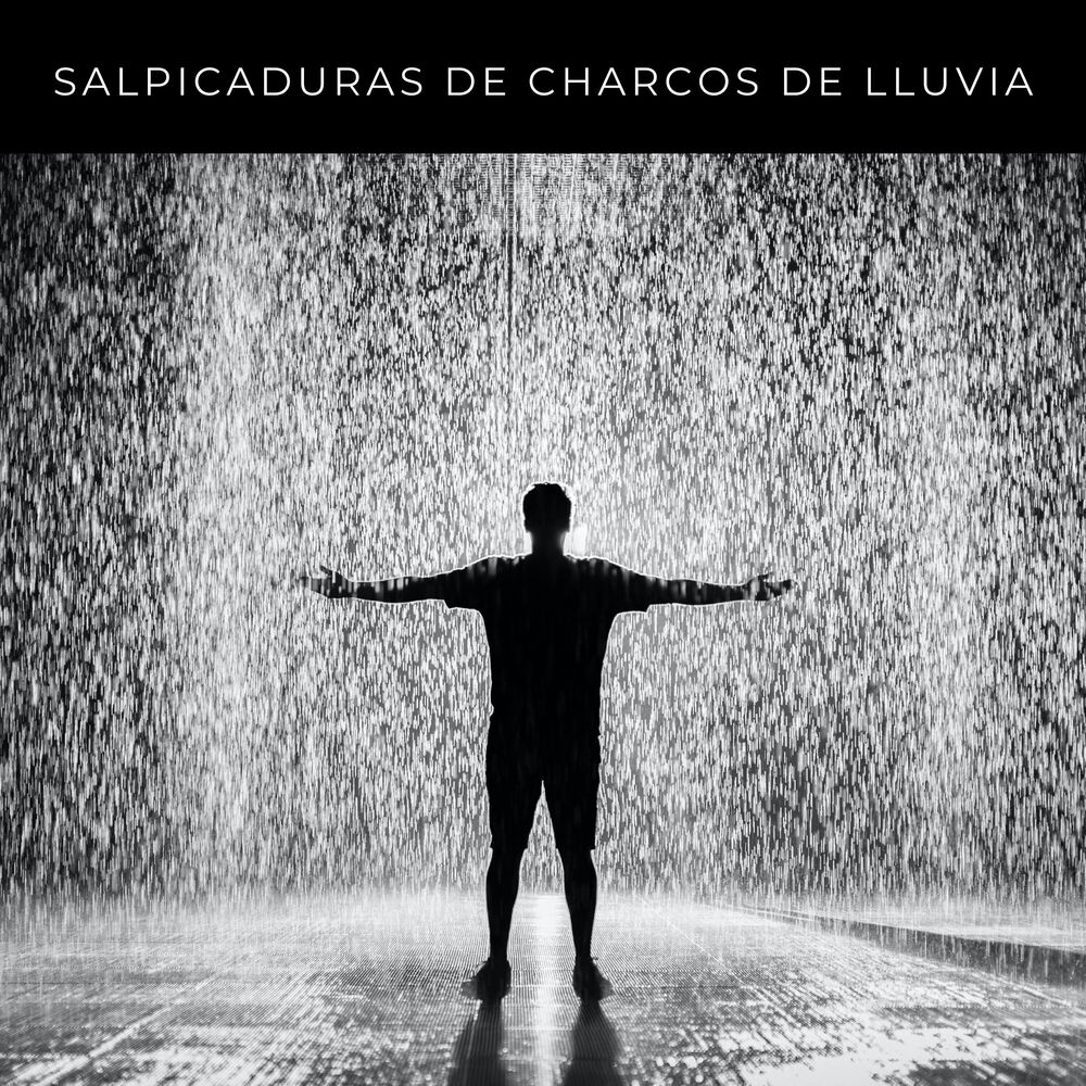 Picture of Salpicaduras De Charcos De Lluvia