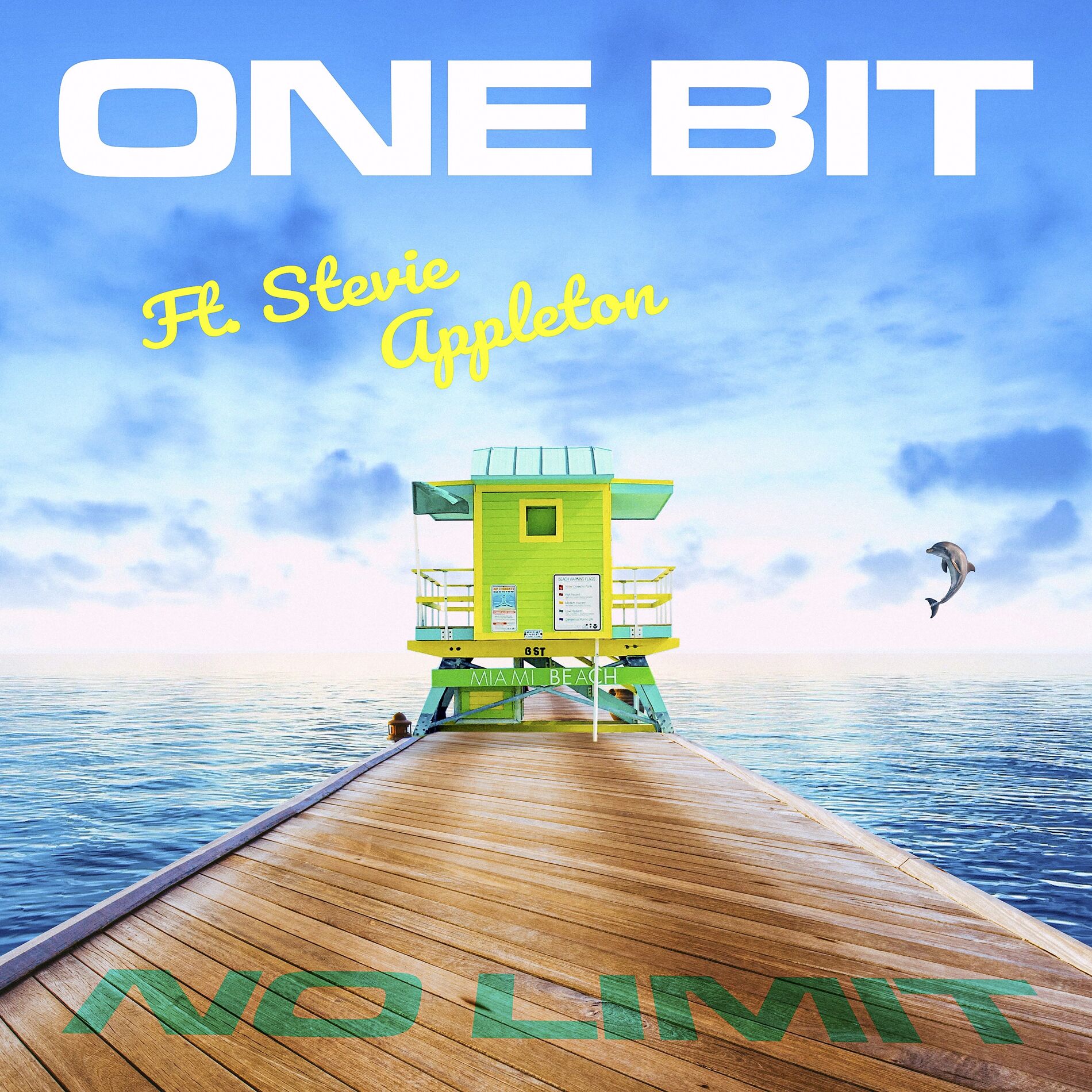 Album cover of No Limit