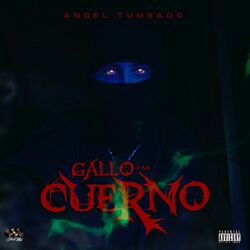 Cover of Gallo y Mi Cuerno