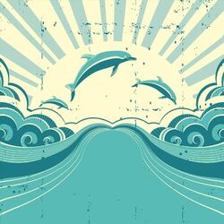 Cover of Why Does the Dolphin Smile?