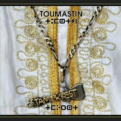 Cover of Toumastin