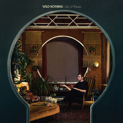 Cover of TV Queen