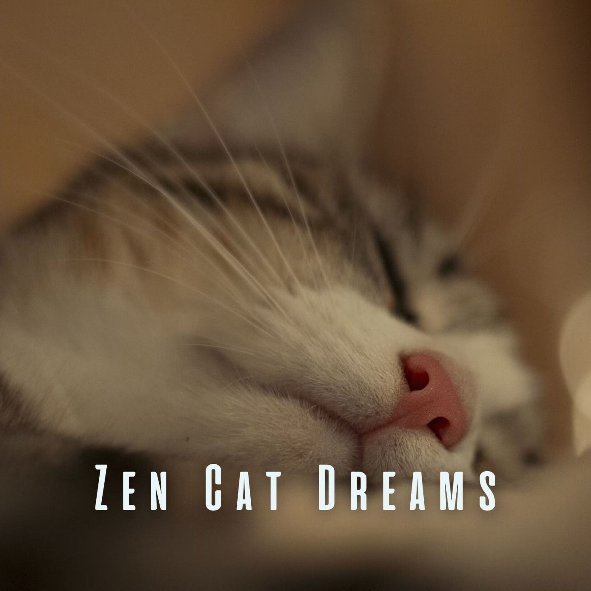 Album cover of Zen Cat Dreams: Meditative Piano for Restful Feline Sleep