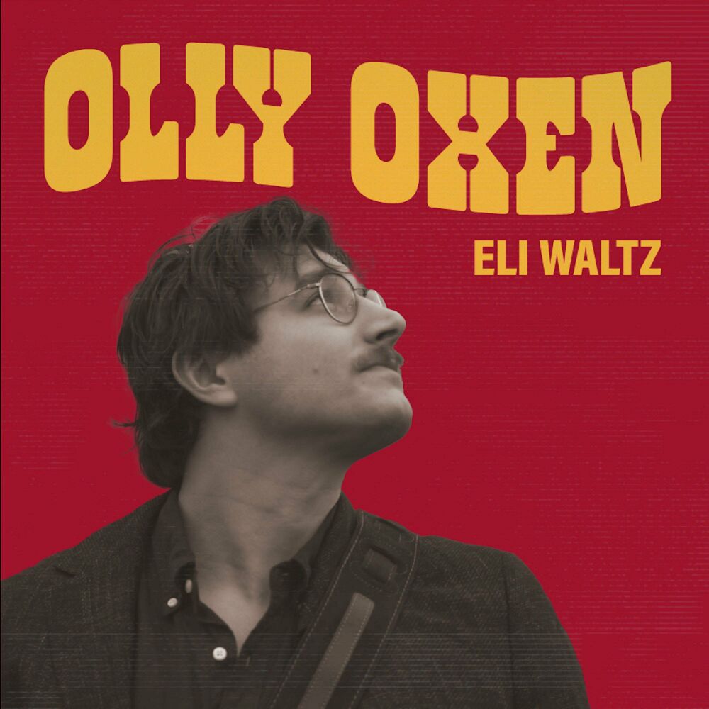 Picture of Olly Oxen