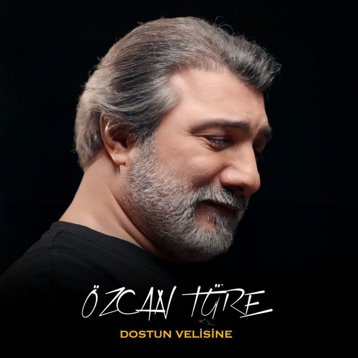 Album cover of Dostun Velisine