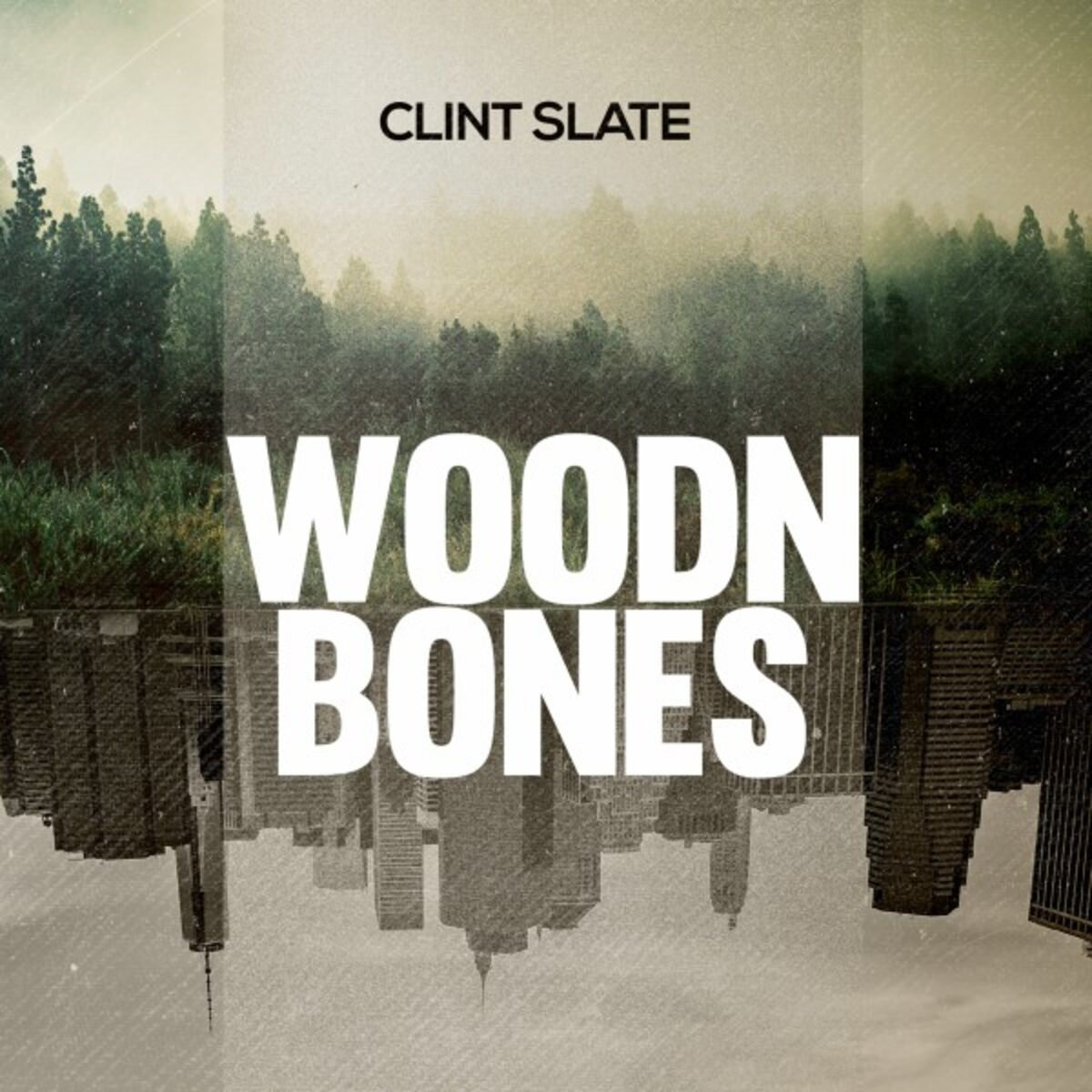 Album cover of Woodn Bones