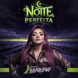 Cover of Noite Perfeita
