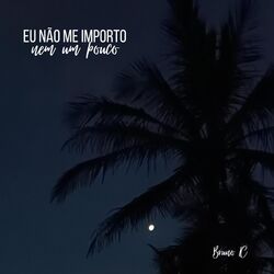 Cover of Eu não me importo nem um pouco