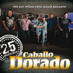 Cover of 25 Aniversario