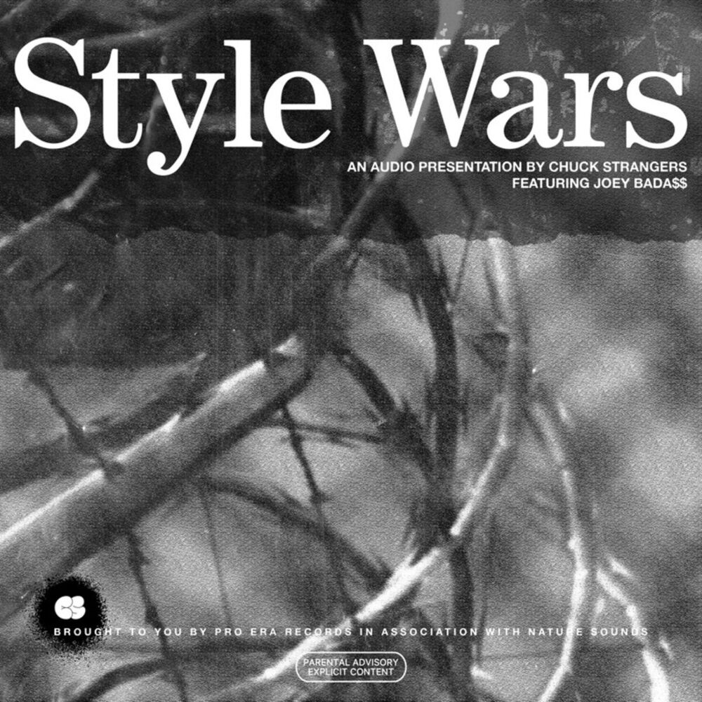 Picture of Style Wars