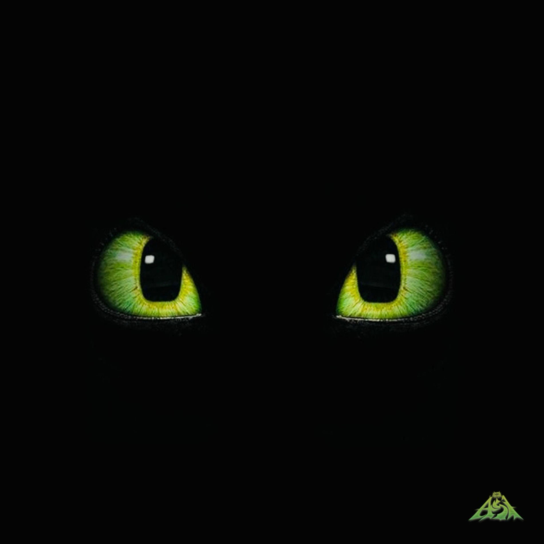 Album cover of Night Fury