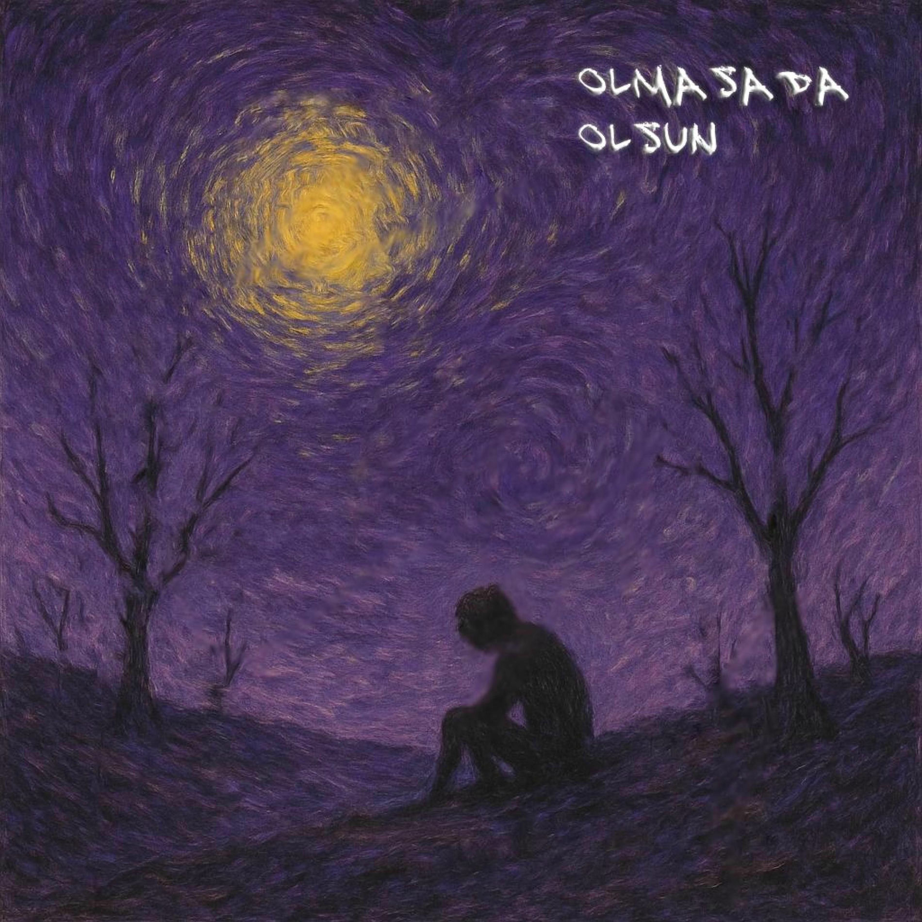 Album cover of Olmasada Olsun