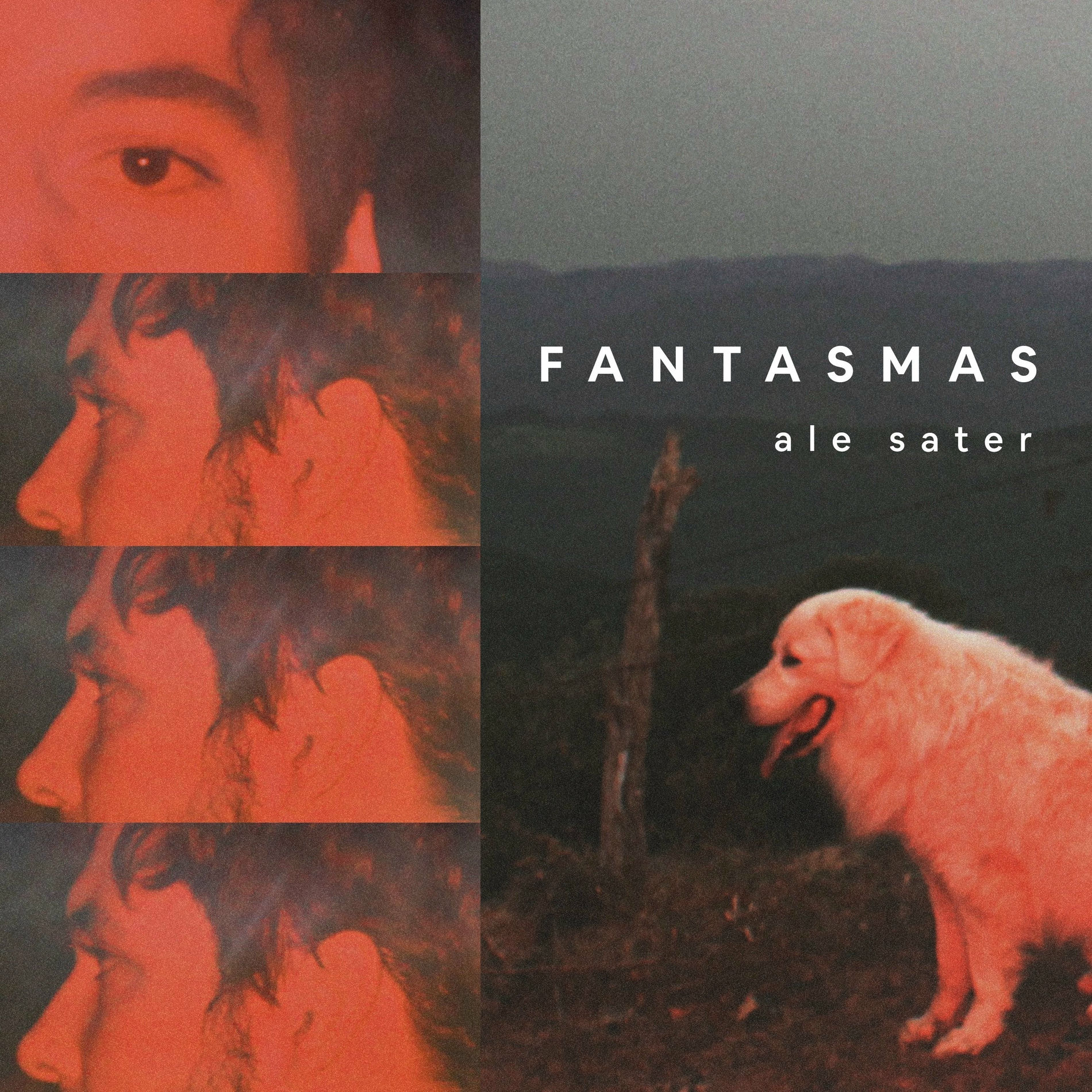Album cover of Fantasmas