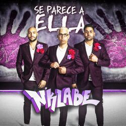 Cover of Se Parece a Ella