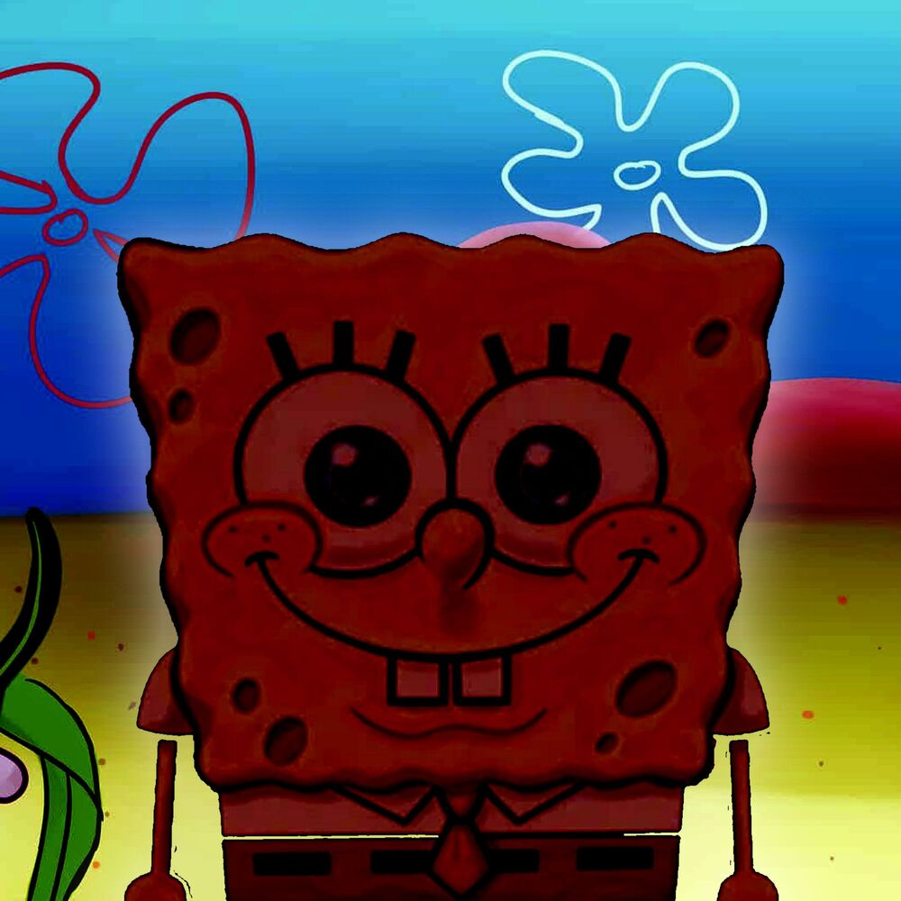 Picture of SPONGEWOB