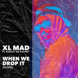 Cover of When We Drop It