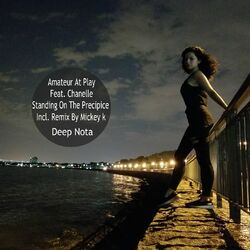 Cover of Standing on the Precipice (Remixes)