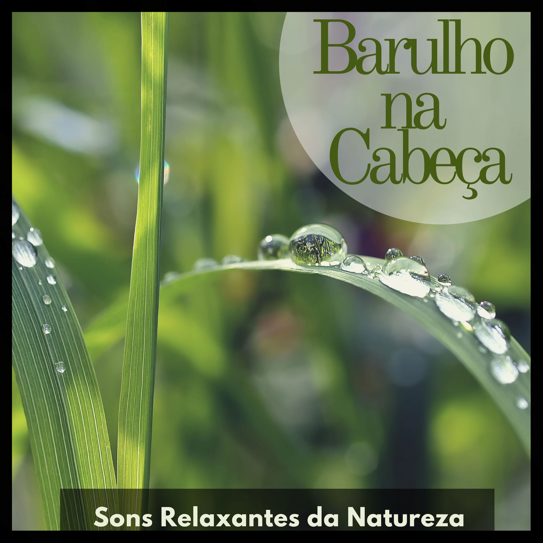 Album cover of Barulho na Cabeça