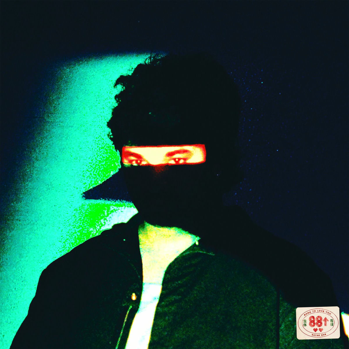 Album cover of born to love you