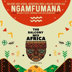 Cover of Ngamfumana