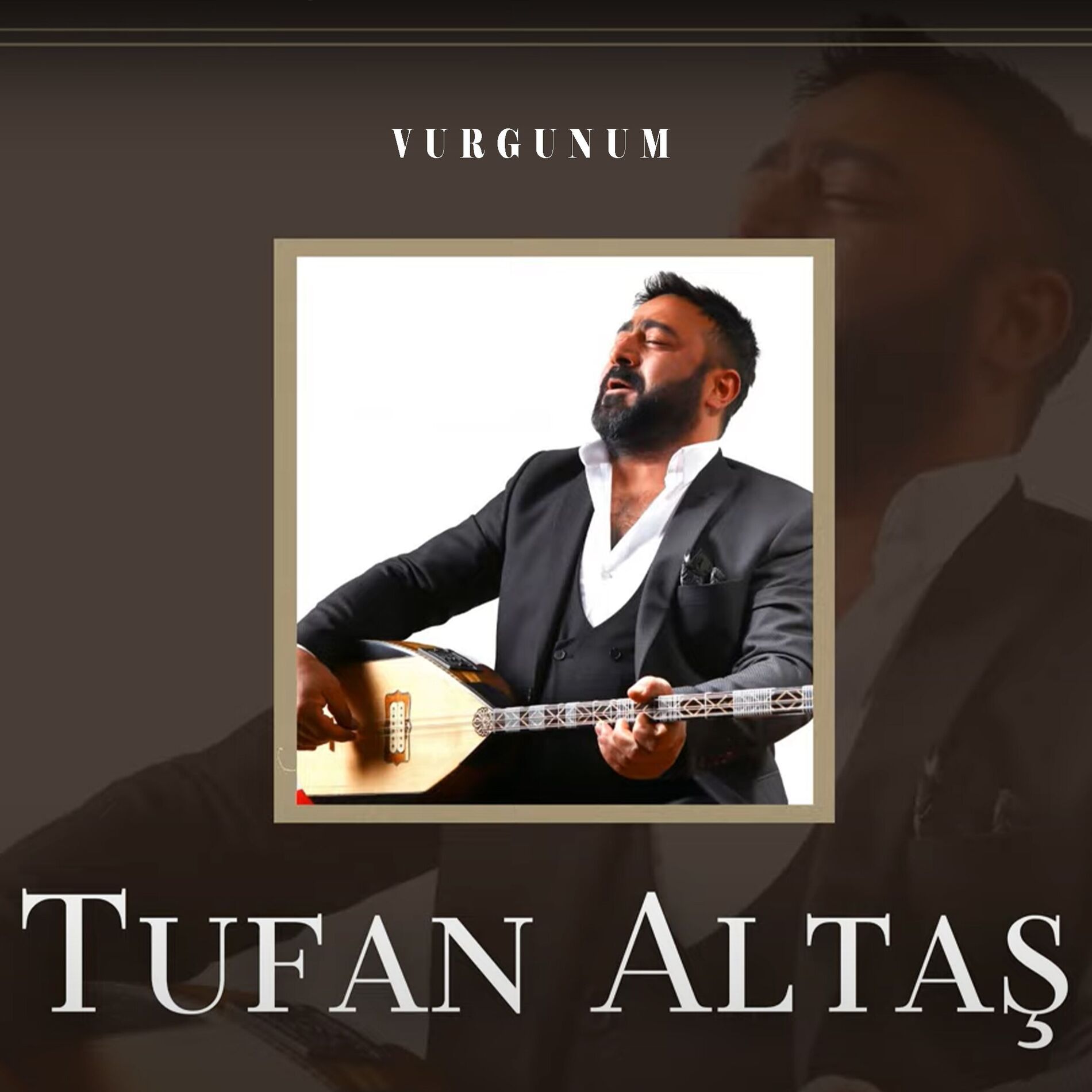 Album cover of Vurgunum