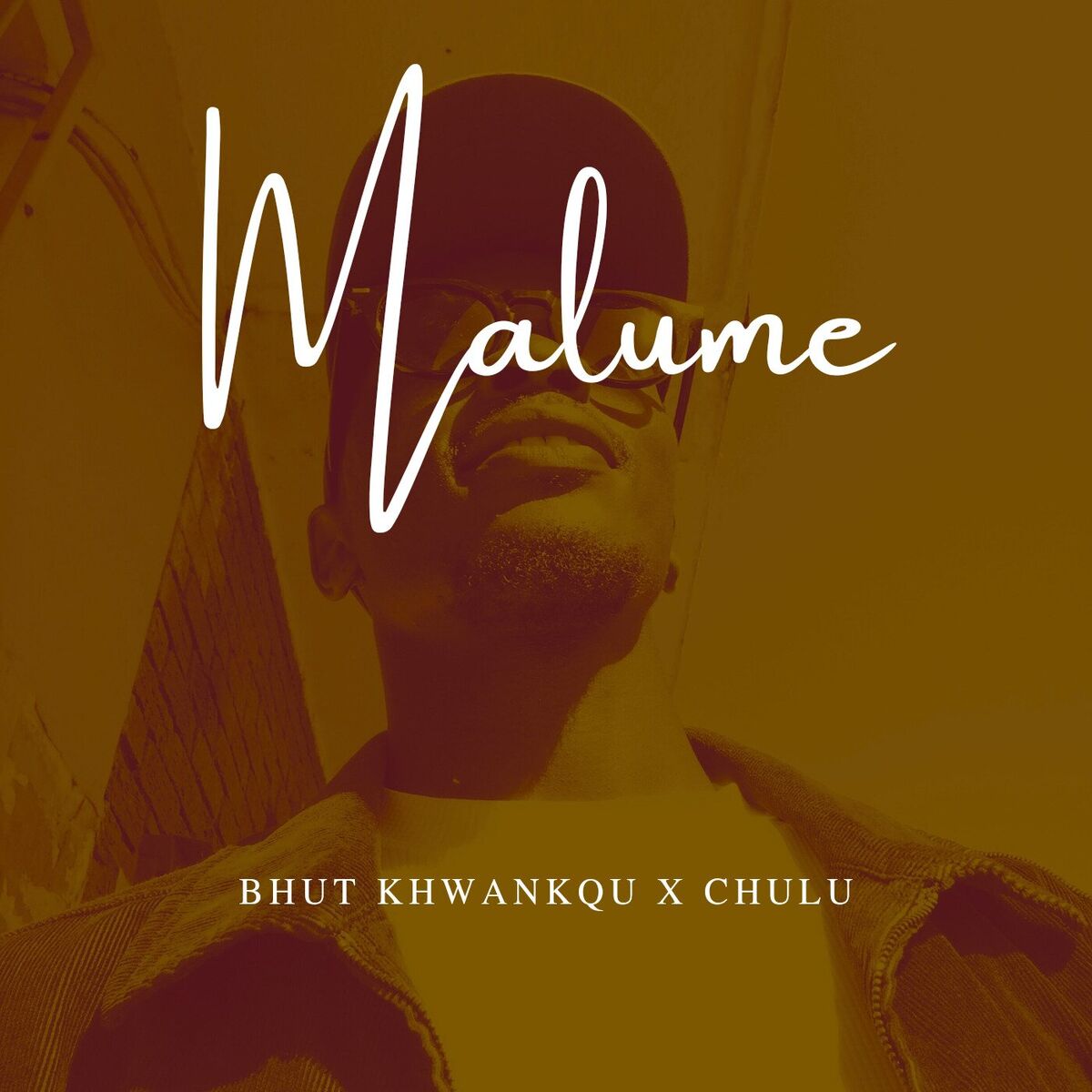 Album cover of Malume