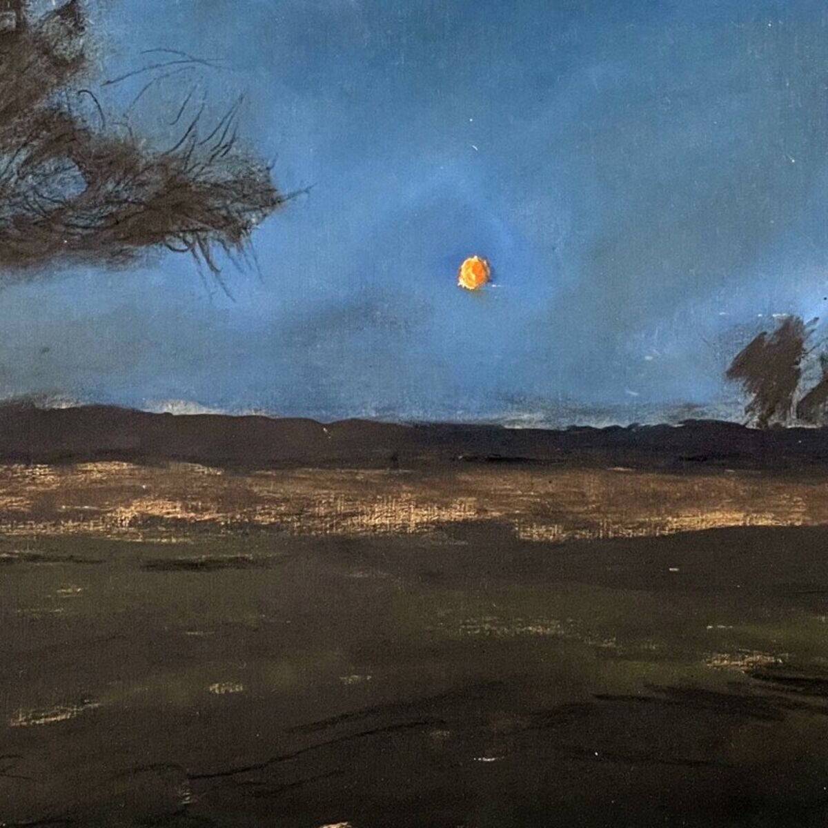 Album cover of Moon Dancer