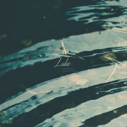 Descargar Lake (Violin Version) - Michael Kim-Sheng MP3