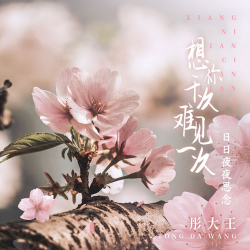 想你千次难见一次 (日日夜夜相思)
