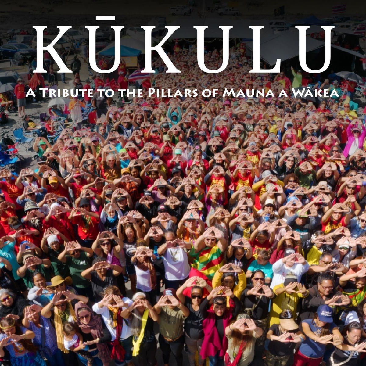 Album cover of Noho Mauna