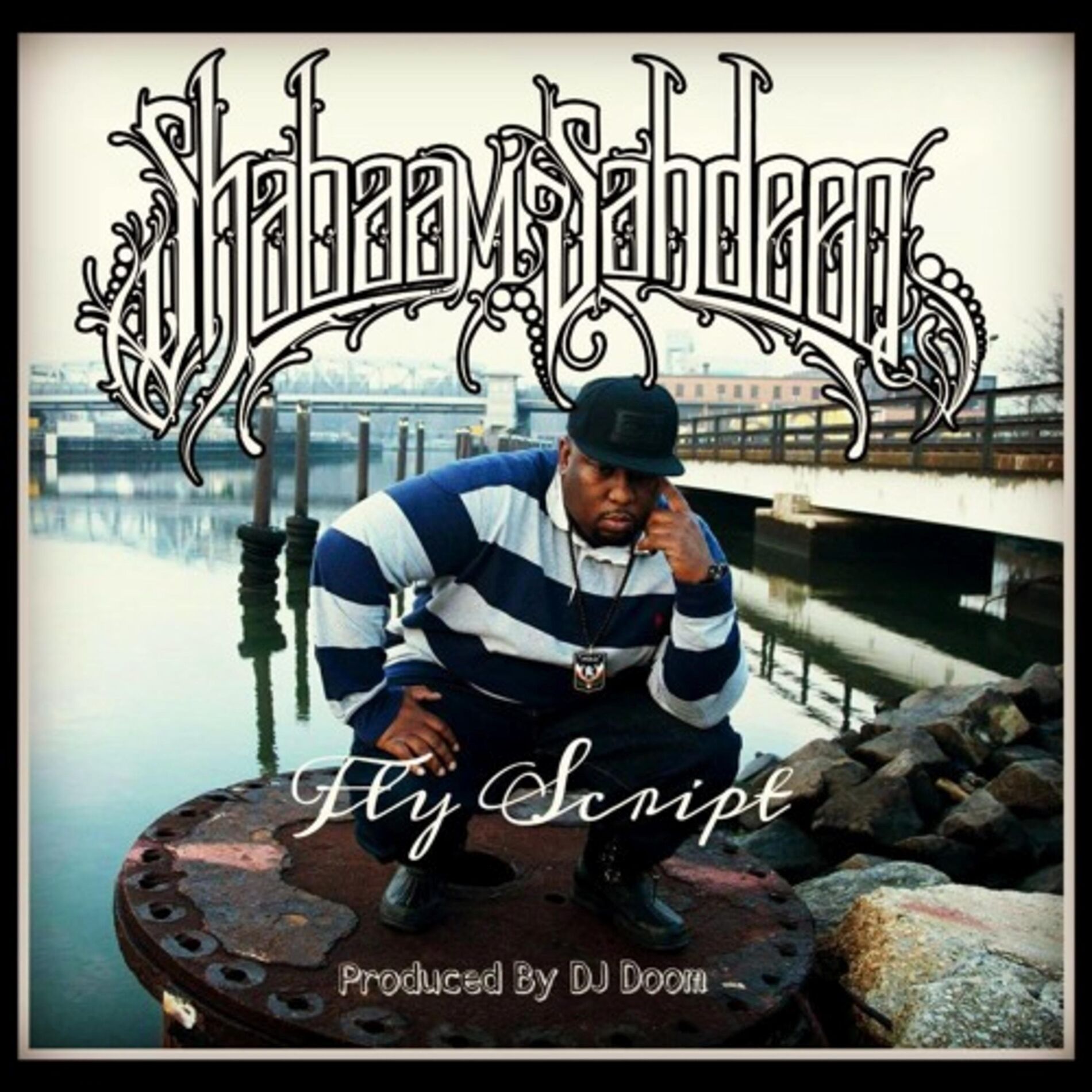 Album cover of Fly Script