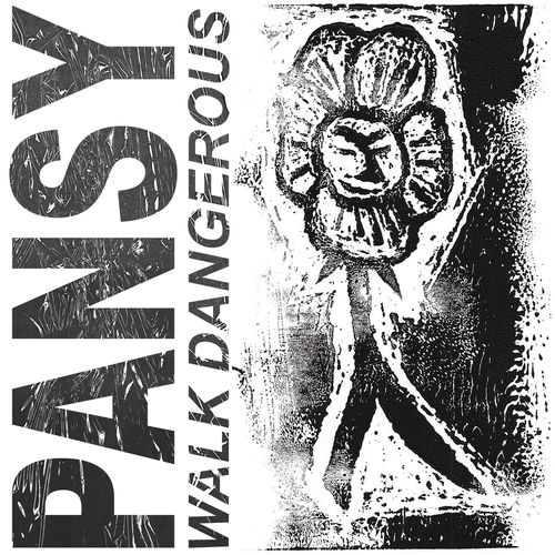Walk Dangerous (Chasers)