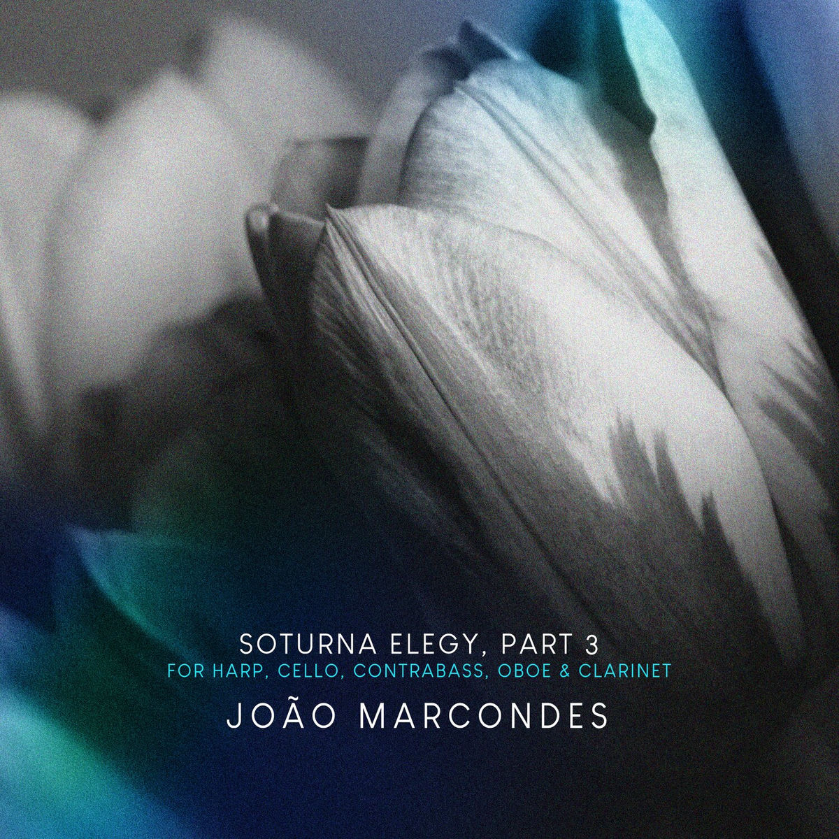 Album cover of Soturna Elegy, Pt. 3