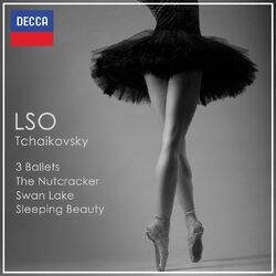Cover of 3 Ballets: The Nutcracker; Swan Lake; Sleeping Beauty - Tchaikovsky