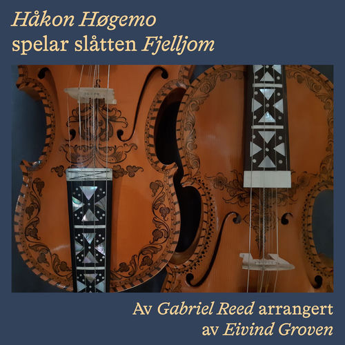 Fjelljom