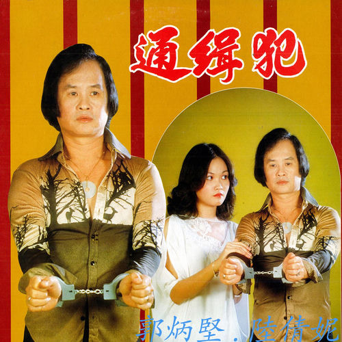 通缉犯 (修复版)