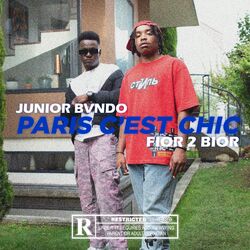 Cover of Paris c'est chic