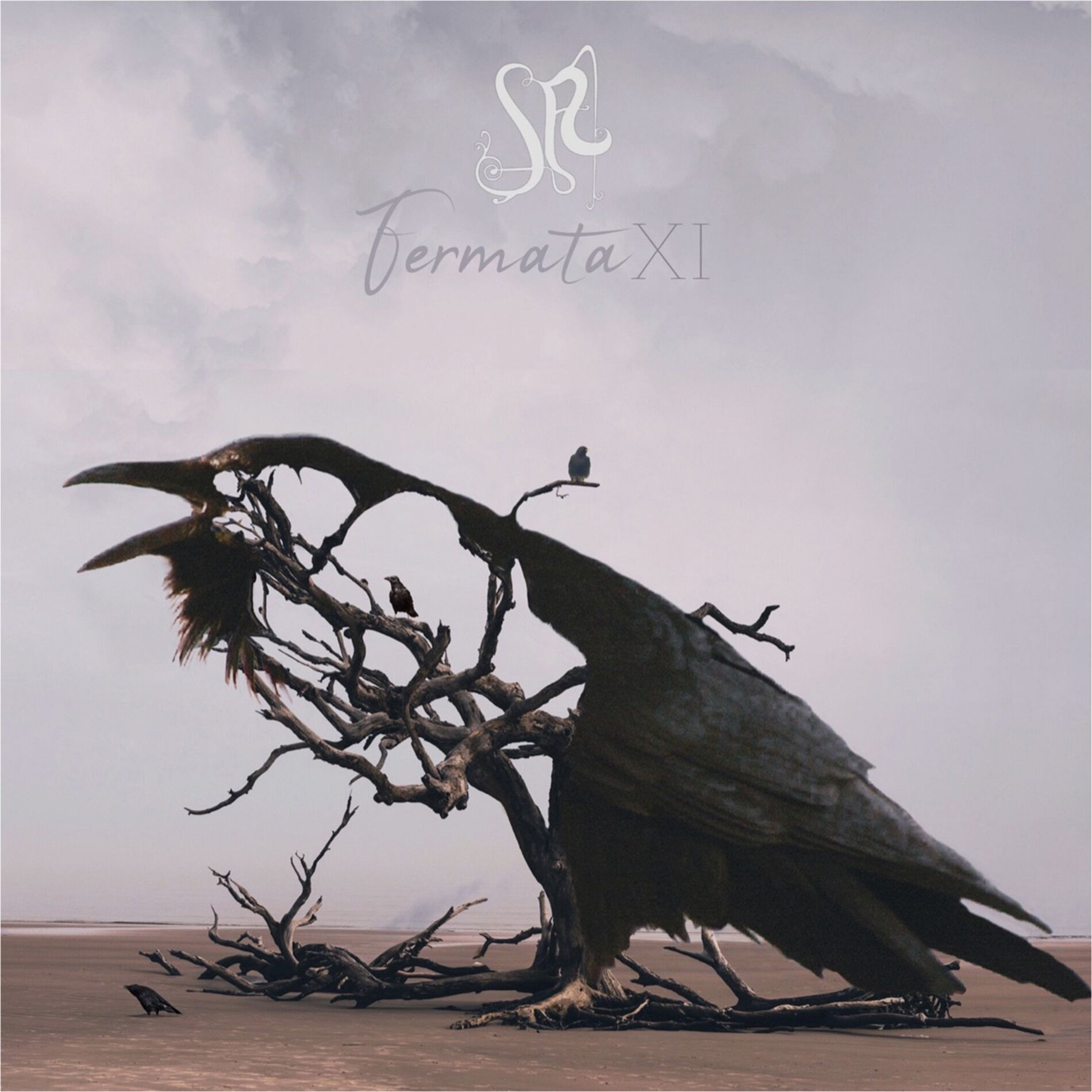 Album cover of Fermata XI