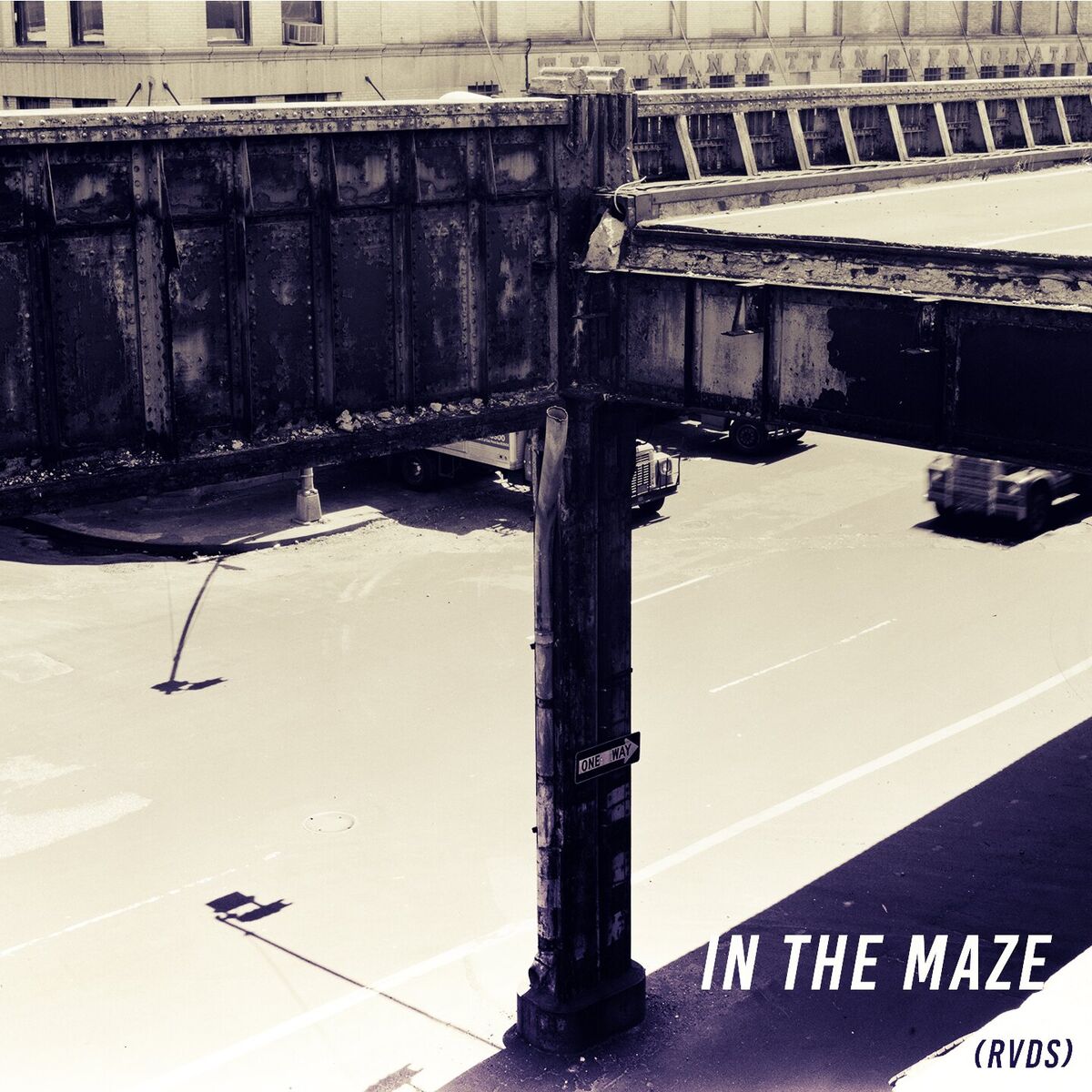 Album cover of In the Maze (RVDS)