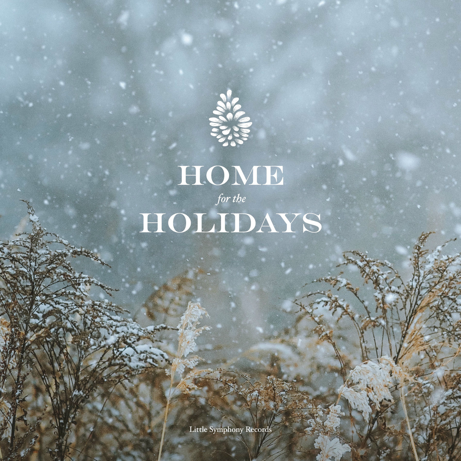 Album cover of Home for the Holidays