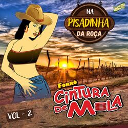 Na Pisadinha da Roça Vol,2