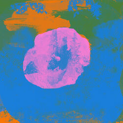 Cover of The Great Unknown (Mono Mix)