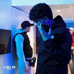 Cover of Il male qua