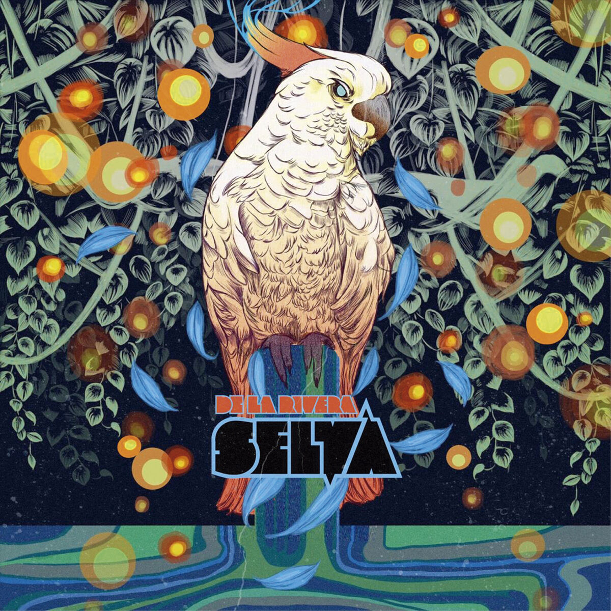 Album cover of Selva