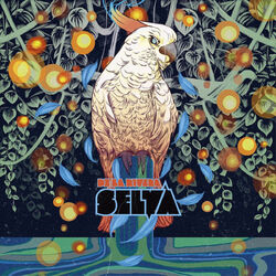 Cover of Selva