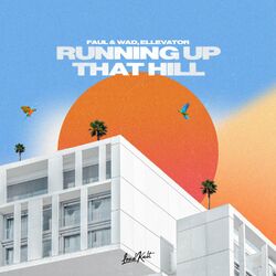 Cover of Running Up That Hill